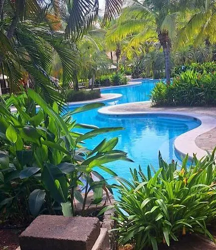 L1213 One Bedroom, Huge Balcony Amazing Sunsets Apartment Coco